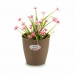 Planter Stefanplast Brun Plast 19 x 17,5 x 19 cm (12 enheter)