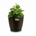 Planter Stefanplast Plast 29 x 26,5 x 29 cm (6 enheter)