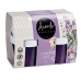 Luchtverfrisserset Acorde 1165-LAVANDA Lavendel Gel (24 Stuks)