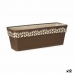 Självvattnande planter Stefanplast Cloe Brun Plast 49,5 x 17 x 19 cm (12 antal)