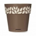 Vaso Autoirrigável Stefanplast Cloe Castanho Plástico 15 x 15 x 15 cm (12 Unidades)