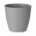 Vaso Stefanplast Cinzento Plástico 24 x 22,3 x 24 cm (6 Unidades)