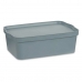 Cutie de depozitare cu capac Kipit TP595-2 Gri Plastic 14 L 29,5 x 14,3 x 45 cm (12 Unități)