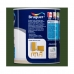 Acryllak Bruguer 5057506 Galicia Green 750 ml Gesatineerd