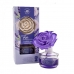 Luftfrisker La Casa de los Aromas Lavendel 65 ml