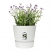 Bloempot Elho Greenville Rond Wit Plastic (Ø 29,5 x 27,8 cm)