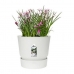 Bloempot Elho Greenville Rond Wit Plastic (Ø 29,5 x 27,8 cm)