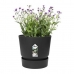 Ghiveci Elho Greenville Negru Plastic Rotund Rotundă Ø 40 cm Ø 39 x 36,8 cm