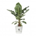 Blomkruka med fat Elho Greenville Ø 39 x 36,8 cm Rund Vit Plast