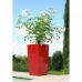 Vaso Riviera Rosso Plastica Quadrato Rotondo Moderno 29 x 29 x 52 cm 29 x 29 cm
