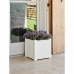 Planter TeraPlast Hvit 42 x 40 cm