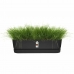 Planter Elho   Svart 70 cm Plast