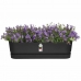 Planter Elho   Svart 70 cm Plast