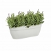 Hangende plantenbak Elho Wit Plastic 24 x 46 x 26,5 cm