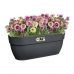 Bloempot Elho Antraciet 24 x 46 x 26,5 cm