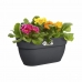 Hængende planter Elho 3662603642500 Plastik 24 x 36 x 26,5 cm