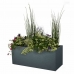 Plantenbak EDA Graphit Up Rechthoekig Antraciet 99,5 x 39 x 43 cm