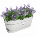 Planter Elho   White 50 cm Blue Plastic