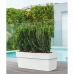 Planter Deroma Like R White