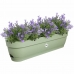 Plantenbak Elho   70 cm Groen Plastic