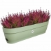 Plantenbak Elho   70 cm Groen Plastic