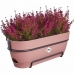 Planter Elho   50 cm Rosa Plast