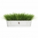 Planter Elho   Hvit 70 cm Plast