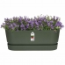 Plantenbak Elho   50 cm Groen Plastic