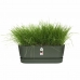 Plantenbak Elho   50 cm Groen Plastic