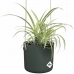 Hanging Planter Elho   Green Plastic Ø 18 cm