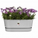 Plantenbak Elho   Grijs 60 cm Plastic