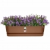 Planter Elho   70 cm Plast