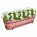 Plantenbak Elho   70 cm Roze Plastic