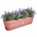 Planter Elho   50 cm Hvit Plast