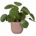 Plant pot Elho Pink Plastic Circular Modern Ø 25 cm