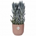 Plant pot Elho Pink Plastic Circular Modern Ø 25 cm