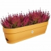 Planter Elho   70 cm Plast