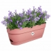 Planter Elho   Rosa Plast