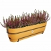 Plantenbak Elho   70 cm Plastic