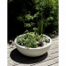 Pot EDA Ø 59 cm Blanc Plastique Rond