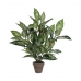 Decoratieve plant Mica Decorations Dieffenbachia Dieffenbachia Groen PVC (15,7 x 70 cm)