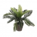 Dekorativ plante Mica Decorations Keramik Palmera (11,5 x 33 cm)