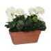 Decoratieve plant Mica Decorations Keramisch Wit Geel PVC Geranium (29 x 13 x 40 cm)