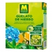 Augu fertilizētājs Massó Quelato de Hierro (50 g)