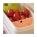 Rechthoekige lunchbox met deksel Milan Groen 750 ml Plastic