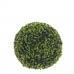 Dekorativní rostlina Mica Decorations Umělé Koule Čajovník Zelená (ø 27 cm)