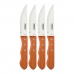 Set de cuțite pentru carne Tramontina Dynamic 25 cm Jumbo Lemn Oțel inoxidabil 4 Unități