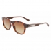 Herrensonnenbrille Lacoste S Habana