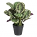 Decoratieve plant 37 x 37 x 41 cm Groen PVC