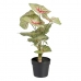 Decoratieve plant Rood Groen PVC 40 x 35 x 55 cm